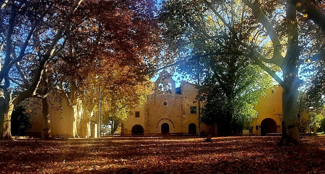 IMG_20231123_185123_343_(1)